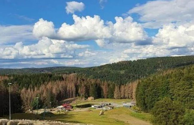 Cozy Apartment Near Trails - Foto 34