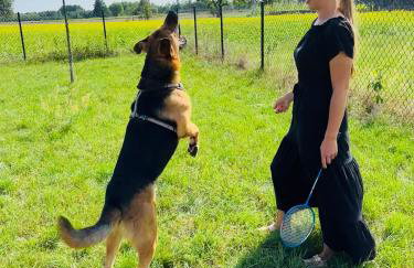 Sielski domek w Starej Hucie - Foto 18