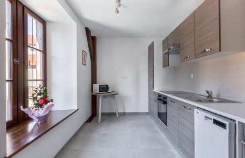 LE RHENANUS Martin Bucer - grand appartement au calme - centre ville - parking gratuit - Foto 18