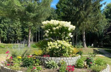 Osada Gęsin - Foto 24