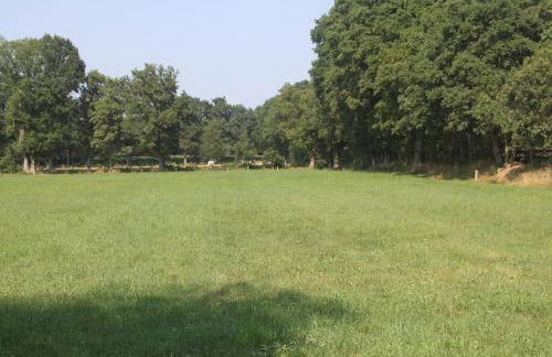 Ferien Wohnung Ellis - Photo 25