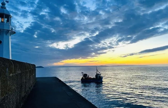 Mevagissey Holiday Home - sea View and Parking - Foto 19