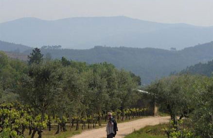 Casa da Casimira - Foto 31