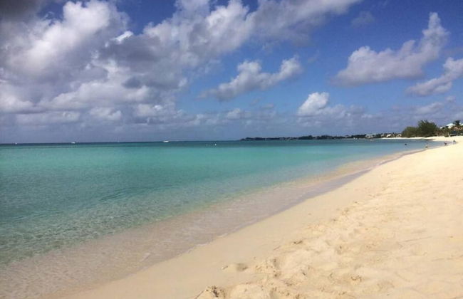 S2A Blue Pavilion - Beach Transfers Meals Tours Island Retro Chic - Photo 34