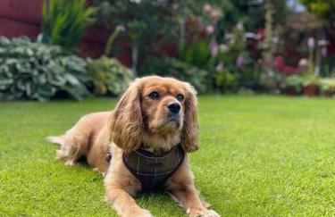 Fylde Coast Stays - Home from Home - Foto 53