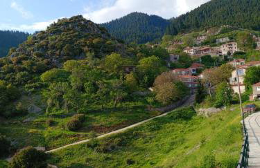 Studio Penelope - Photo 70