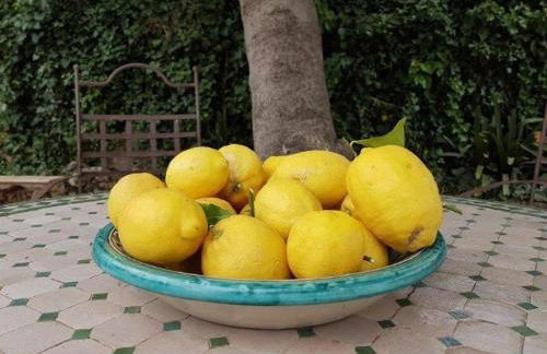 Can Vives - Photo 17