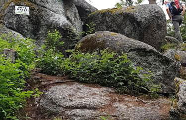 Ferienwohnungen Familie Fuss - Foto 35