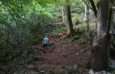 La Casa di Loia, casa vacanze con piscina esclusiva - Foto 32