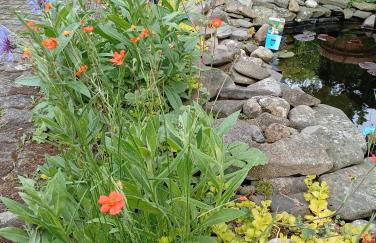 Fewo im Grünen - Foto 2