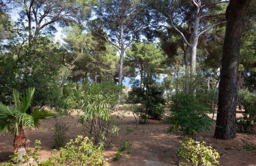 Ca la Irene II - Foto 19