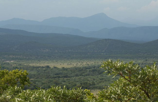 ArendSig Villa - Photo 52