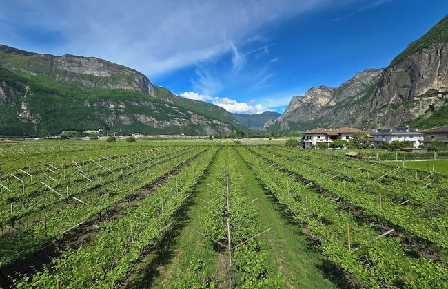 Antico Fienile Agritur - Foto 44