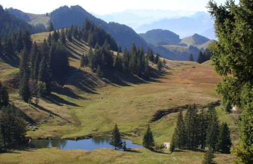 Gschwingerhof - Foto 13