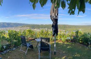 Apartment an der Mosel 1 - Foto 14