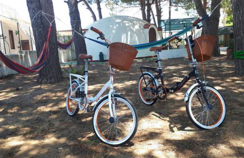 Oltremare - Photo 69