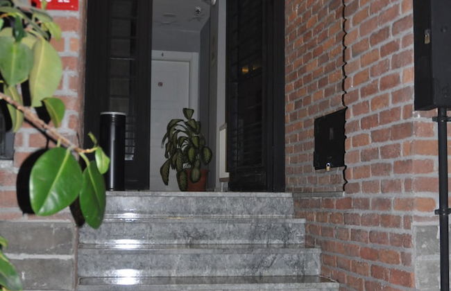 Adams Suit - Foto 22