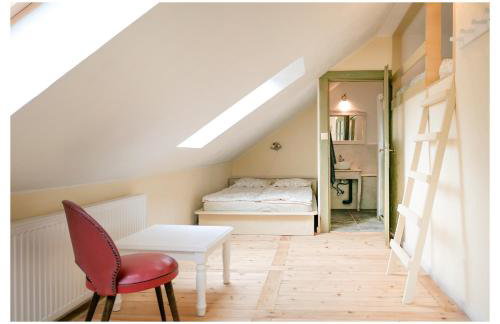 Kozy i Róże - Foto 9