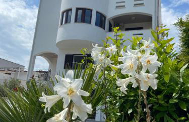 Apartments Mima - Foto 19