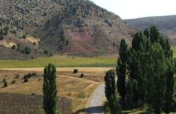 Casa Rural Camino de la Fuente - Foto 44