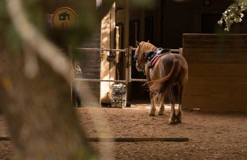 Valle Himara - Foto 48