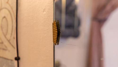 Ladiri - Antica dimora in terra cruda - Foto 3