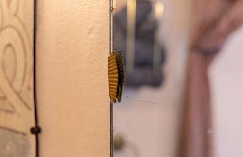 Ladiri - Antica dimora in terra cruda - Foto 3