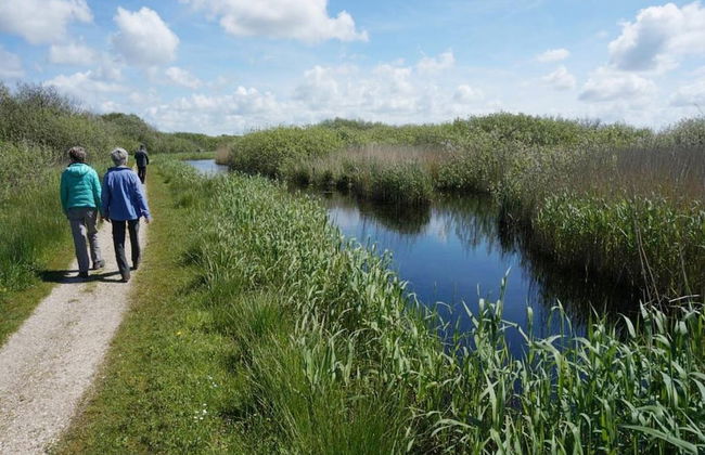 Holiday Home in Callantsoog With Garden - Photo 31