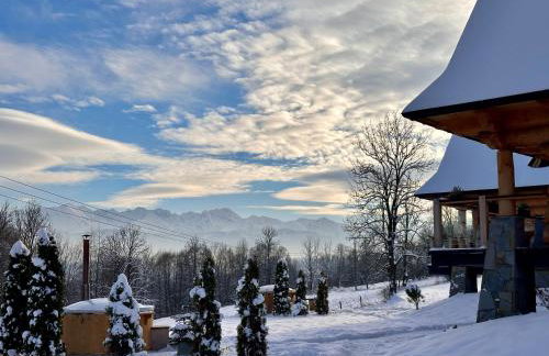 NA SKRAJU LASU domki z balią, jacuzzi - Foto 68