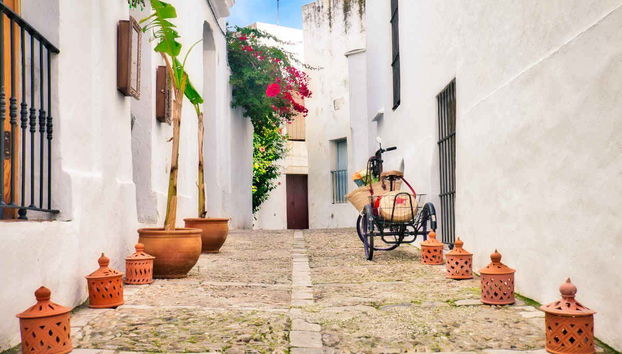 Vejer & Conil de la Frontera Day Trip - Foto 4