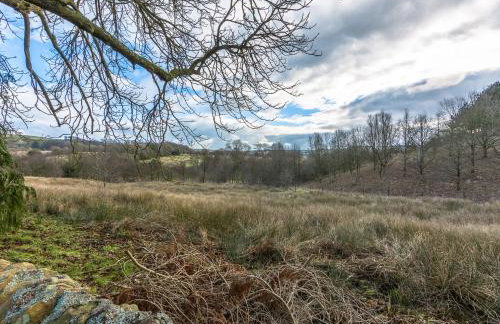 Queen Ann's Close - Photo 60