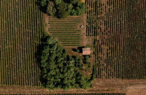 AGRITURISMO RIPA DEL BOSCO - Foto 32