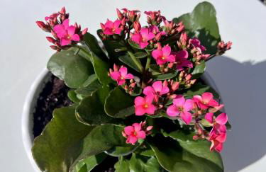 GATU Villa Atardecer en la playa de las Redes " Preferente mayores de 21 años y familias " - Foto 27