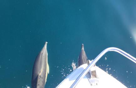 Maison Vue Mer proche Pointe du Raz Audierne Plouhinec Finistère - Photo 28