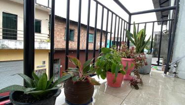 Apartamento - Foto 5