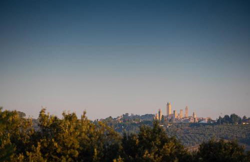 Torraccia di Chiusi Agriturismo Relais - Photo 4