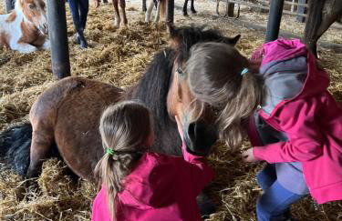 Hof Eichendiek Time Out Village - Foto 19