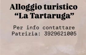 Alloggio turistico La tartaruga - Foto 1