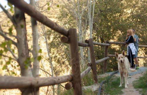 Holiday Home in Laroya With Pool & BBQ - Foto 42