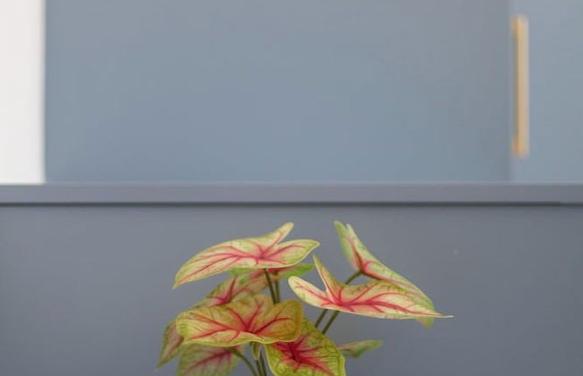 5 Bed Apartment in Hammersmith - Foto 25