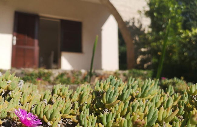 Apartment Dory - Foto 28