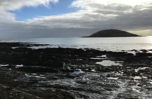 Sand Martin - Foto 32