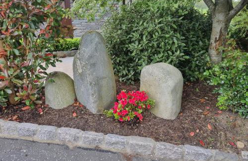 Hollymount Cottage - Foto 13