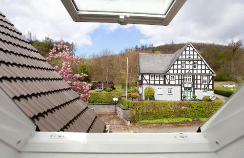 Gut Vasbach Ferienwohnungen - Foto 22