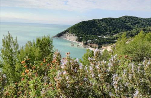 Agriturismo Antichi Ulivi - Foto 47