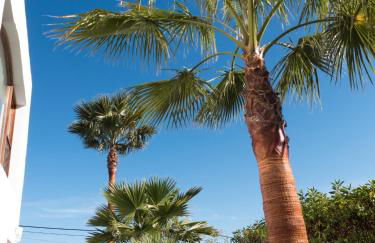 Ses Vistes - Photo 32