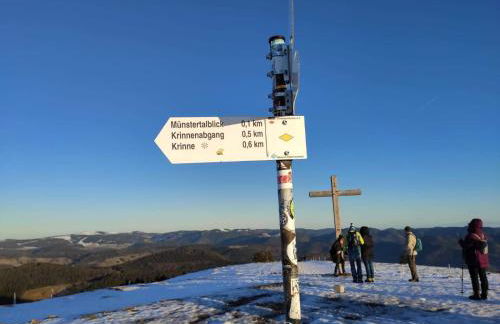 Ferienwohnung Belchenblick - Foto 30