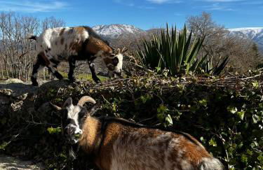 Casa Rural El Molinero - Photo 14