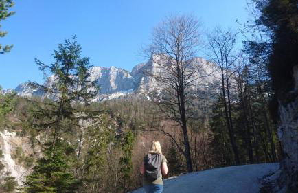 Fewo Sonntagshorn - Foto 12