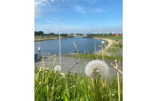 Home Port Modern Retreat - Foto 9